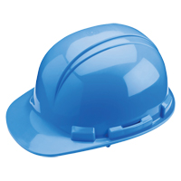 Casque de s&eacute;curit&eacute; Whistler de North, R&eacute;pond aux normes CSA type 1, Suspension Rochet, Non ventil&eacute; Equipment World