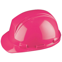Dynamic Mont-Blanc Hardhat, Meets CSA Type 2, Ratchet Suspension, Non-Vented Equipment World