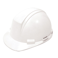 Dynamic Mont-Blanc Hardhat, Meets CSA Type 2, Pinlock Suspension, Non-Vented Equipment World