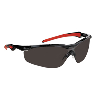 Lunettes de s&eacute;curit&eacute; s&eacute;rie Hawk Dynamic, Lentille Fum&eacute;e, Antibu&eacute;e, ANSI Z87+/R&eacute;pond ou surpasse la norme CSA Z94.3 Equipment World