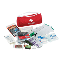 Dynamic Car First Aid Kit, Class 1 Medical Device, Nylon Bag Equipment World