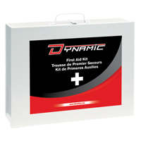 Dynamic General-Purpose Industrial First Aid Kit, Class 1 Medical Device, Metal B Equipment World