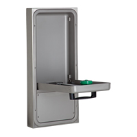 Eye/Face Wash Station, Wall-Mount Installation Equipment World
