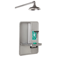 Eye/Face Wash and Shower, Ceiling-Mount SGC296 | Equipment World