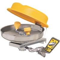 Eyewash Station, Wall-Mount Installation, Stainless Steel Bowl Equipment World