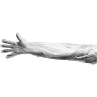 Disposable Gloves, Large, Polyethylene, 9-mil, Powdered, Clear Equipment World