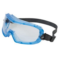 Uvex&reg; Entity Safety Goggles, Clear Lens, Anti-Fog, Indirect Vent Equipment World