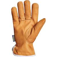 Endura&reg; Driver's Glove, Small, Grain Goatskin Palm, Thinsulate Inner Lining Equipment World