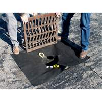 Storm Sentinel&reg; Catch Basin Insert, Sediment, 48" L x 36" W Equipment World
