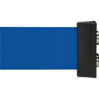 Wall Mount Barrier with Magnetic Tape, Steel, Screw Mount, 7', Blue Tape Equipment World