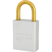 Cadenas de s&eacute;curit&eacute; American Lock, Transparent, Cl&eacute;s identiques, Aluminium, Largeur de 1-1/2" Equipment World