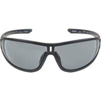 Z3000 Series Safety Glasses, Grey/Smoke Lens, Anti-Fog/Anti-Scratch, ANSI Z87+/Meets/Exceeds CSA Z94.3 Equipment World
