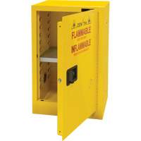 Flammable Storage Cabinet, 12 gal., 1 Door, 23" W x 35" H x 18" D Equipment World