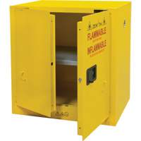Armoire pour produits inflammables, 22 gal., 2 Porte(s), 35" La x 35" h x 22" p Equipment World