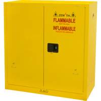Flammable Storage Cabinet, 30 gal., 2 Door, 43" W x 44" H x 18" D Equipment World