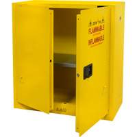 Flammable Storage Cabinet, 30 gal., 2 Door, 43" W x 44" H x 18" D Equipment World
