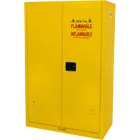 Flammable Storage Cabinet, 45 gal., 2 Door, 43" W x 65" H x 18" D Equipment World