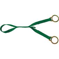 Double D Ring Extension, D-Ring, Temporary Use Equipment World