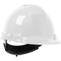Dynamic Whistler Hardhat, Meets CSA Type 1, Ratchet Suspension, Vented Equipment World