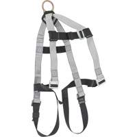 Full Body Harnesses