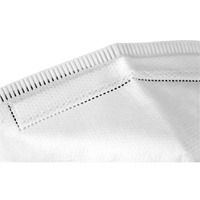 Disposable Respirator, N95, NIOSH Certified, One Size Equipment World