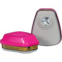 Cartridge, Combination Gas/Vapour Cartridge and Particulate Filter, Multi-Gas/Vapour/P100 Equipment World