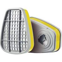 Cartridge, Gas/Vapour Cartridge, Multi-Gas/Vapour Equipment World