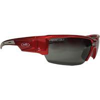Hartley Safety Glasses, Grey Lens, Polarized, Meets/Exceeds CSA Z94.3 Equipment World