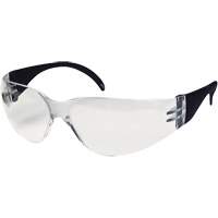 CeeTec Safety Glasses, Clear Lens, Anti-Fog/Anti-Scratch, Meets/Exceeds CSA Z94.3 Equipment World