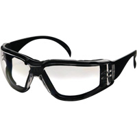 CeeTec DX Safety Glasses, Clear Lens, Anti-Fog/Anti-Scratch, Meets/Exceeds CSA Z94.3 Equipment World