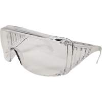 Eccospec Safety Glasses, Clear Lens, Meets/Exceeds CSA Z94.3 Equipment World