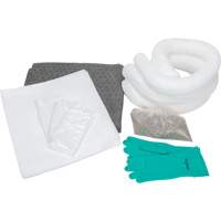 Spill Kit, Oil Only/Universal, Bag, 10 US gal. Absorbancy Equipment World