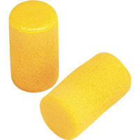 E-A-R Classic Earplugs, Pair - Pillow Pack, Large Equipment World