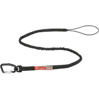 Extended Reach Locking Tool Lanyard, Bungee, Carabiner/Loop Equipment World