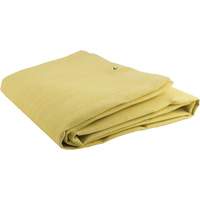 Acrylic Coated Fiberglass Blanket, 6' W x 6' L, Rated Up To 300 °F Equipment World