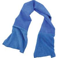 Serviette refroidissante et nettoyante d'usage multiple Chill-Its 6604, Bleu Equipment World