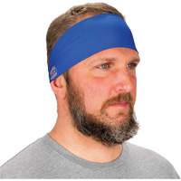 Chill-Its 6634 Cooling Headband, Blue Equipment World