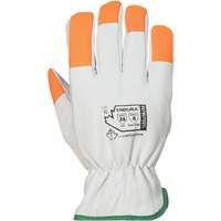 Synthetic Gloves