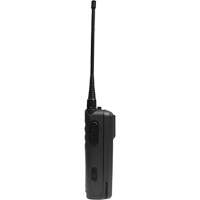 CP100d Series Non-Display Portable Two-Way Radio Equipment World