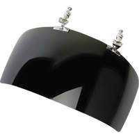 DP4 Series Faceshield Visor, IR 5.0 Tint Equipment World
