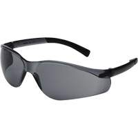 X300 Safety Glasses, Smoke Lens, Anti-Scratch, ANSI Z87+/Meets/Exceeds CSA Z94.3 Equipment World