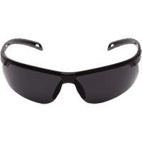 Ever-Lite&reg; Safety Glasses, Dark Grey Lens, ANSI Z87+/Meets/Exceeds CSA Z94.3 Equipment World