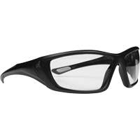 Lunettes de s&eacute;curit&eacute; Nevosa, Lentille Transparent, Polaris&eacute;/Pare-vapeur, ANSI Z87+/R&eacute;pond ou surpasse la norme CSA Z94.3 Equipment World