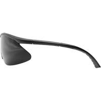 Banraj Safety Glasses, Smoke Lens, Anti-Scratch, ANSI Z87+/MCEPS GL-PD 10-12/Meets/Exceeds CSA Z94.3 Equipment World