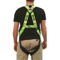 FBH-10000L Contractor Series Safety Harness, CSA Certified, Class AL, 400 lbs. Cap. Equipment World