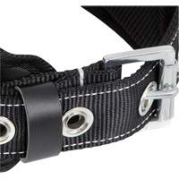WB-6010-S Safety Restraint 1 D-Ring Belt with Padded Lumbar Support - Small Equipment World