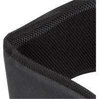 WB-6006 Padded Lumbar Support for Belt - Universal Equipment World