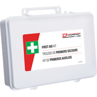 Dynamic First Aid Kit, Meets/Exceeds CSA Z1220-24 Type 2 Low-Risk Environment, Small (2-25 Workers) Equipment World