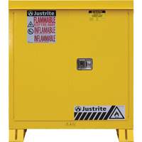 Outdoor Flammable Storage Cabinet, 30 gal., 2 Door, 43" W x 44" H x 18" D Equipment World