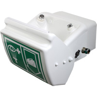 Eye/Face Wash, Wall-Mount Installation, Plastic Bowl Equipment World